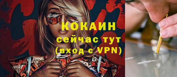 дживик Бикин