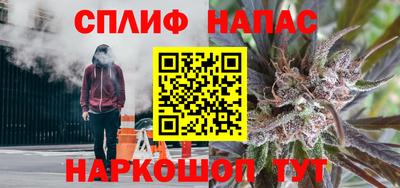 прущие грибы Славгород