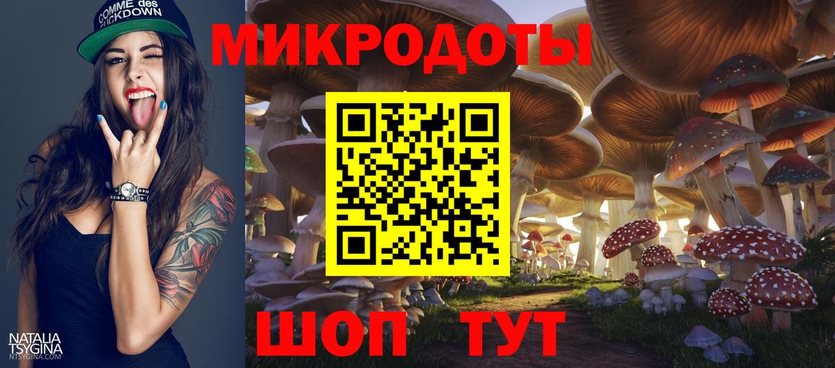 Галлюциногенные грибы Psilocybe  Вход с VPN  Моршанск  Галлюциногенные грибы GOLDEN TEACHER 